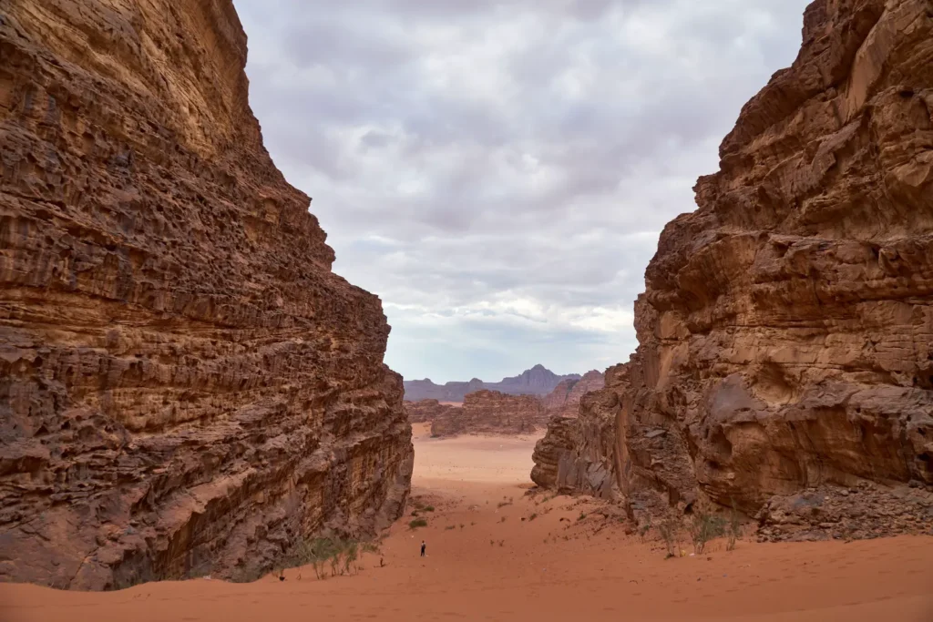 Desert views