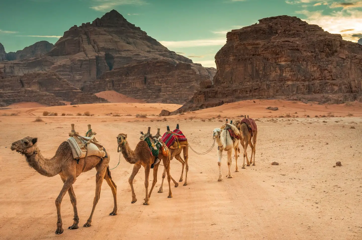 Wadi Rum 1